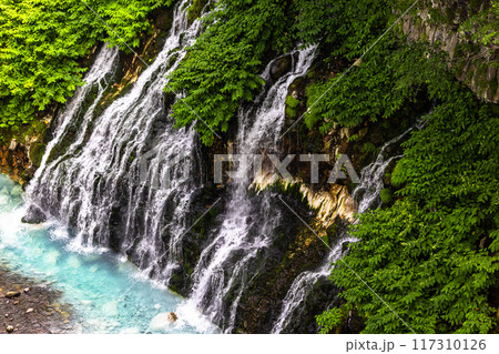 【北海道_美瑛_白髭の滝】青い色と白い滝のコントラストがよく映える、青い池  117310126