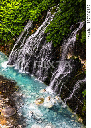 【北海道_美瑛_白髭の滝】青い色と白い滝のコントラストがよく映える、青い池 【北海道_美瑛_白髭の滝】青い色と白い滝のコントラストがよく映える、青い池 117310127