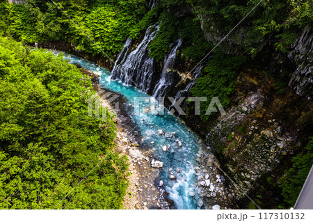 【北海道_美瑛_白髭の滝】青い色と白い滝のコントラストがよく映える、青い池 【北海道_美瑛_白髭の滝】青い色と白い滝のコントラストがよく映える、青い池 117310132