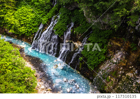 【北海道_美瑛_白髭の滝】青い色と白い滝のコントラストがよく映える、青い池  117310135