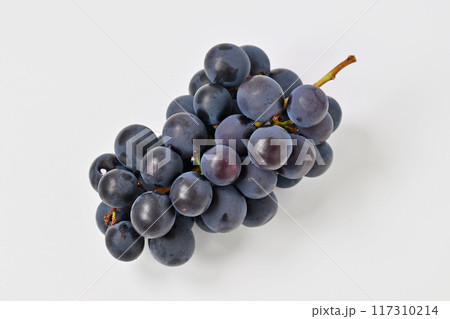 注）レタッチ修正あり。フルーツ、種無し巨峰、きょほう、ぶどう、ブドウ、葡萄。 117310214