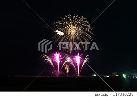 夜空を彩る夏の耀き　かしま納涼海花火の風景 117310229