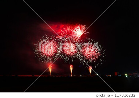 夜空を彩る夏の耀き　かしま納涼海花火の風景 117310232