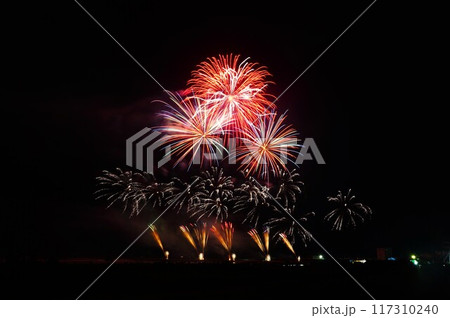 夜空を彩る夏の耀き かしま納涼海花火の風景 夜空を彩る夏の耀き かしま納涼海花火の風景 117310240