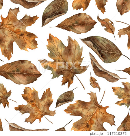 Various types of autumn dry leaves. Watercolor botanical seamless pattern in autumn style on a white background. For seasonal design, Halloween, Thanksgiving, cards, posters, wallpaper, textiles Various types of autumn dry leaves. Watercolor botanical seamless pattern in autumn style on a white background. For seasonal design, Halloween, Thanksgiving, cards, posters, wallpaper, textiles 117310273