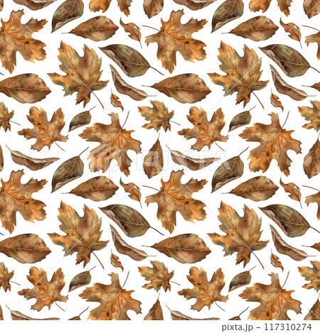 Various types of autumn dry leaves. Watercolor botanical seamless pattern in autumn style on a white background. For seasonal design, Halloween, Thanksgiving, cards, posters, wallpaper, textiles Various types of autumn dry leaves. Watercolor botanical seamless pattern in autumn style on a white background. For seasonal design, Halloween, Thanksgiving, cards, posters, wallpaper, textiles 117310274