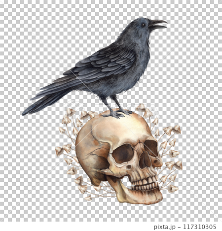 Realistic skull, poisonous mushrooms and black raven. Watercolor illustration hand drawn in gothic style. Halloween decoration, Mexican Day of the Dead symbol, gothic style design, cards and posters 117310305
