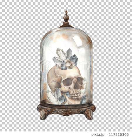 Human skull with crystals, in antique copper glass dome. Watercolor illustration on isolated background in gothic style. Suitable for Halloween decoration, tattoos, postcard design, posters, packaging 117310306