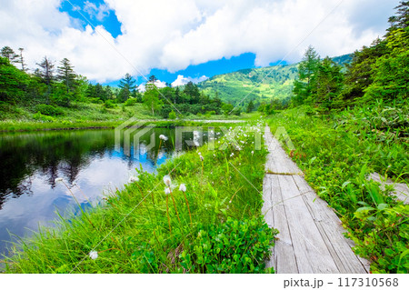 木道のある風景 木道のある風景 117310568