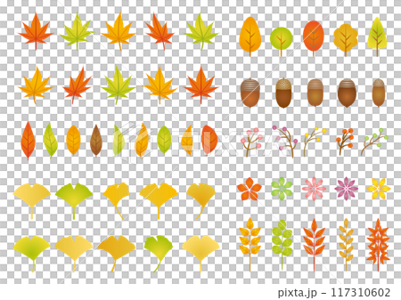 Simple autumn plant material set Simple autumn plant material set 117310602