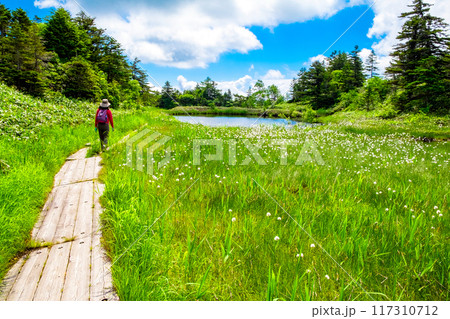 湿原の木道を歩くハイカー 117310712