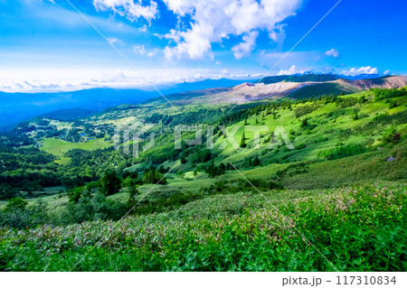 草津白根山と芳ヶ平湿原 草津白根山と芳ヶ平湿原 117310834