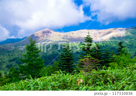 芳ヶ平湿原から草津白根山 芳ヶ平湿原から草津白根山 117310836