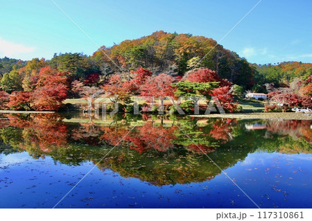 秋の蛇の鼻遊楽園（福島県・本宮市） 117310861