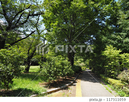 東京都立赤塚公園(板橋区) 東京都立赤塚公園(板橋区) 117311059