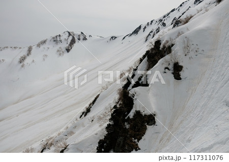 初春の立山大観峰から眺める雪景色 初春の立山大観峰から眺める雪景色 117311076