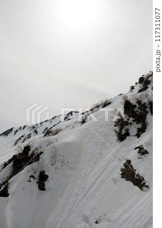 初春の立山大観峰から眺める雪景色 117311077