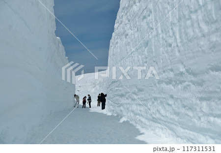 立山黒部アルペンルートの最高地点にある室堂は一面の雪景色 立山黒部アルペンルートの最高地点にある室堂は一面の雪景色 117311531