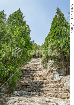 千仏山 117311697