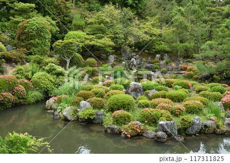 庭園 芙蓉池 等持院(京都市北区) 庭園 芙蓉池 等持院(京都市北区) 117311825