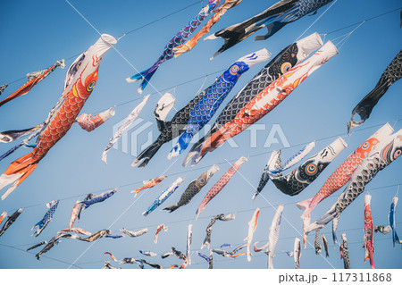 青空を泳ぐたくさんの鯉のぼり 青空を泳ぐたくさんの鯉のぼり 117311868