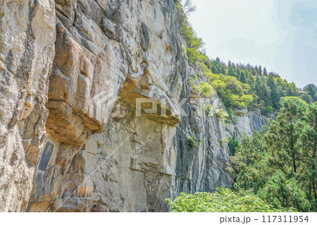 仏慧山の風景 117311954