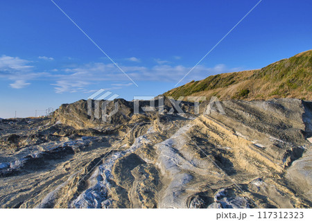 【神奈川県】城ヶ島の風景 【神奈川県】城ヶ島の風景 117312323