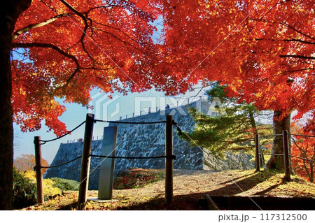 秋の霞ヶ城公園（福島県・二本松市） 117312500