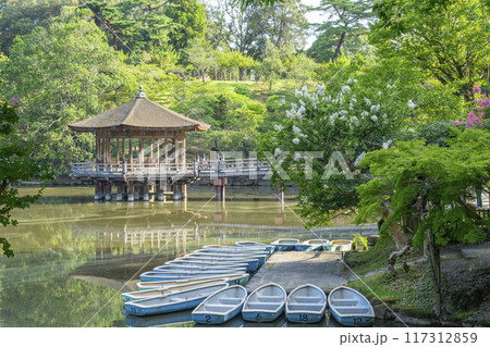 夏の朝　浮世堂とサルスベリの花 117312859
