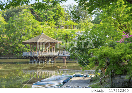 夏の朝　浮世堂とサルスベリの花 117312860