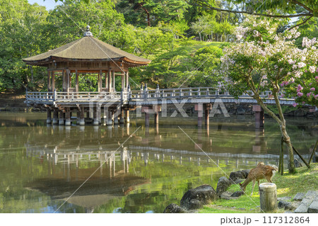 百日紅の花がさく夏の朝 浮世堂と鹿 百日紅の花がさく夏の朝 浮世堂と鹿 117312864