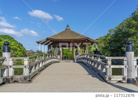 夏の朝 奈良公園 浮世堂 夏の朝 奈良公園 浮世堂 117312876