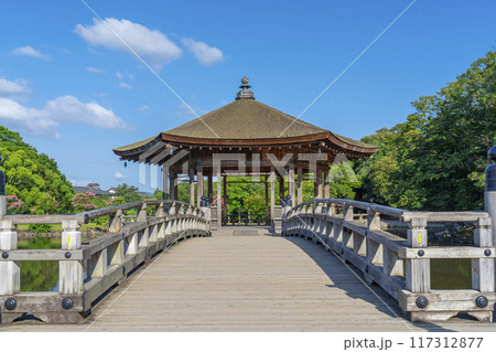 夏の朝　奈良公園　浮世堂 117312877