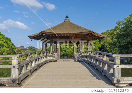 夏の朝 奈良公園 浮世堂 夏の朝 奈良公園 浮世堂 117312879