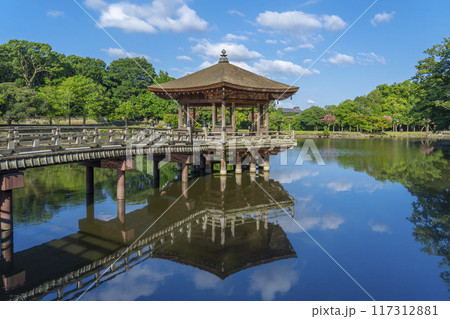 夏の朝 奈良公園 浮世堂 リフレクション 夏の朝 奈良公園 浮世堂 リフレクション 117312881