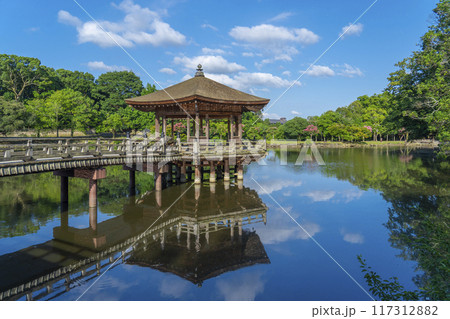夏の朝　奈良公園　浮世堂　リフレクション 117312882