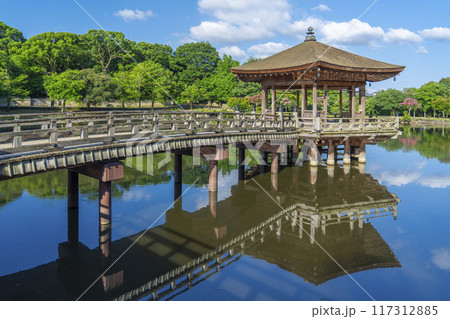 夏の朝　奈良公園　浮世堂　リフレクション 117312885