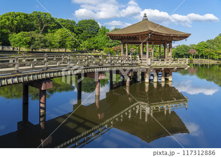 夏の朝　奈良公園　浮世堂　リフレクション 117312886