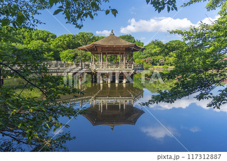 夏の朝　奈良公園　浮世堂　リフレクション 117312887