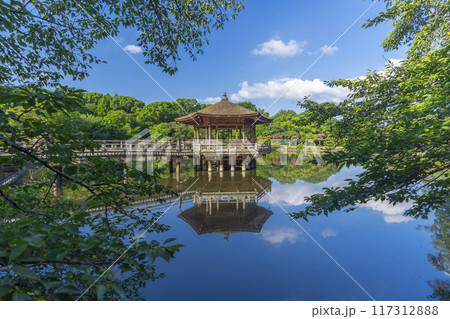 夏の朝　奈良公園　浮世堂　リフレクション 117312888
