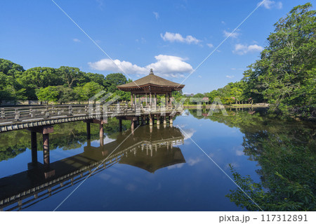 夏の朝　奈良公園　浮世堂　リフレクション 117312891
