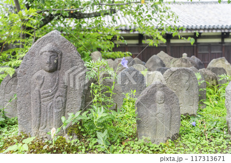 元興寺 石仏群(浮図田) 元興寺 石仏群(浮図田) 117313671