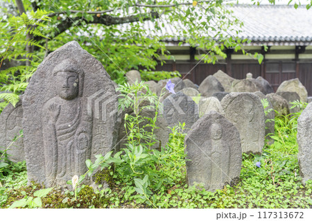 元興寺　石仏群（浮図田） 117313672