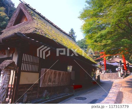京都、嵯峨野の嵯峨鳥居本（愛宕神社の門前町）/新緑の季節/「国指定重要伝統的建造物群保存地区」 117313779