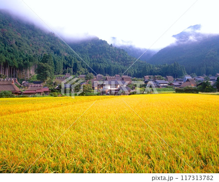 美山かやぶきの里/収穫の季節/「国指定重要伝統的建造物群保存地区」 /京都府南丹市美山町 117313782