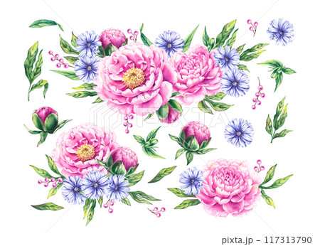 Watercolor pink peonies bouquet set Watercolor pink peonies bouquet set 117313790