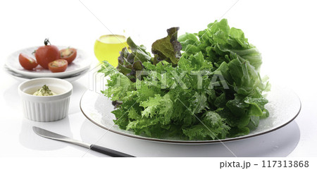 新鮮な3種類のレタス （グリーンオーク,レッドオーク,グリーンクリスピー） 117313868