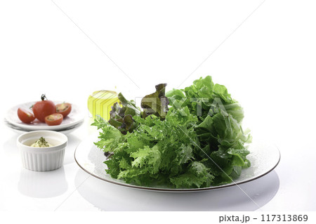 新鮮な3種類のレタス (グリーンオーク,レッドオーク,グリーンクリスピー) 新鮮な3種類のレタス (グリーンオーク,レッドオーク,グリーンクリスピー) 117313869