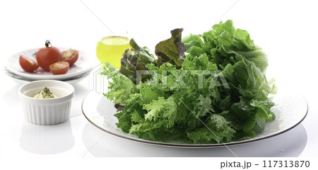新鮮な3種類のレタス （グリーンオーク,レッドオーク,グリーンクリスピー） 117313870