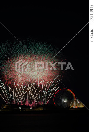 長島温泉花火　三重県 117313915